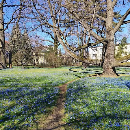 아파트 Skorupki 11 *