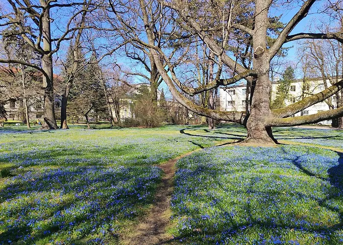 Διαμέρισμα Skorupki 11 *
